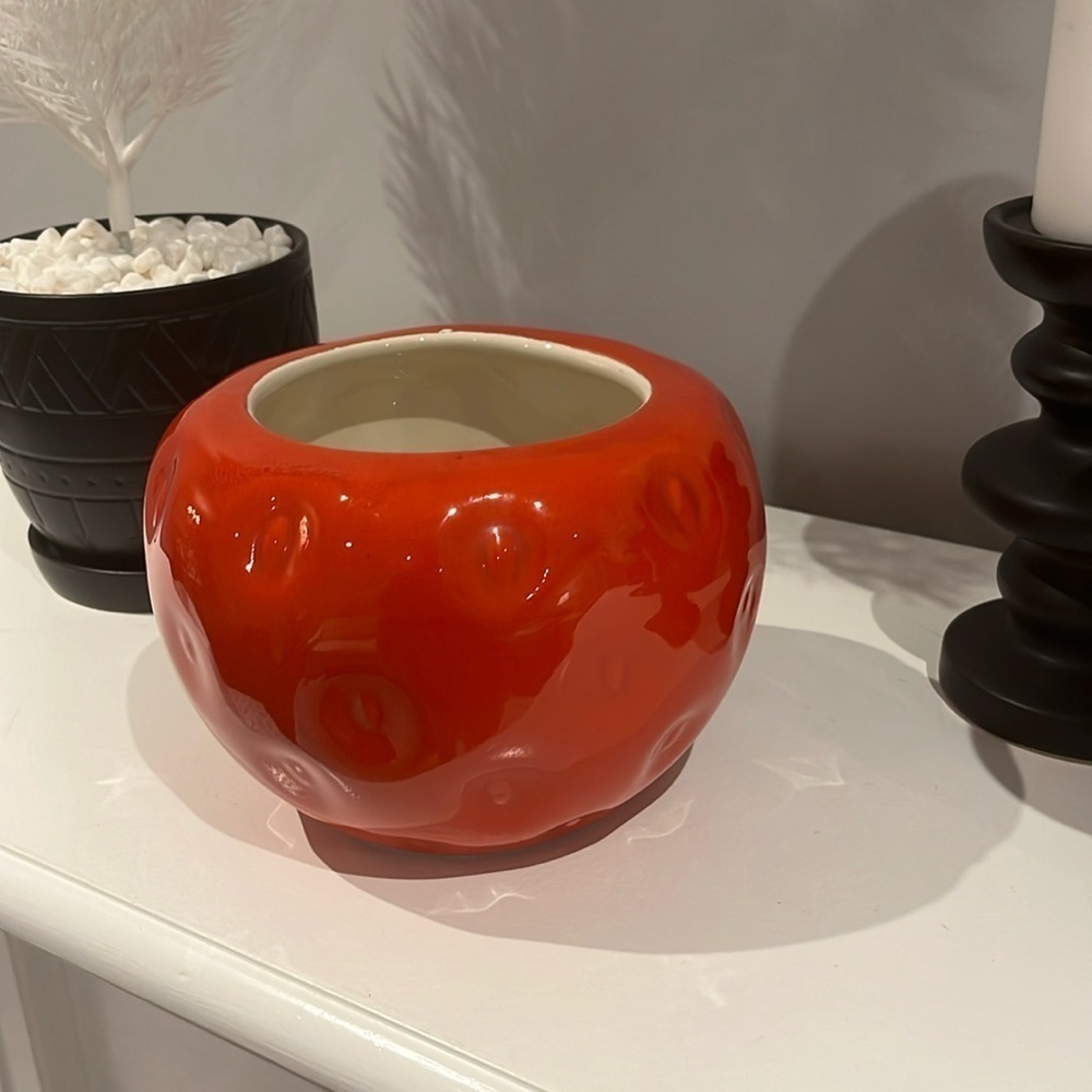 Strawberry  ceramic planter🍓👒🌱